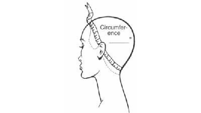 measuring head for wig fitting