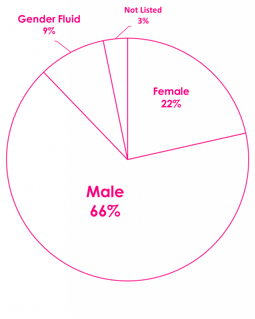 Transgender survey - all respondents gender identities