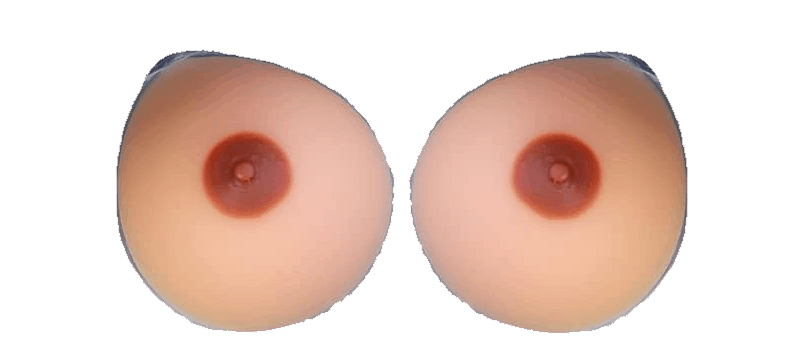 breast forms on a budget